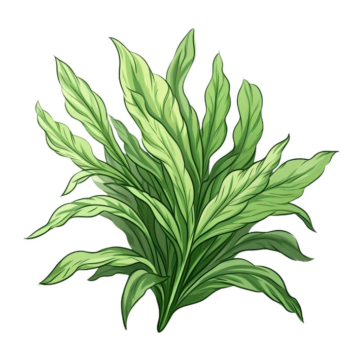 绿叶植物树叶茶壶免抠