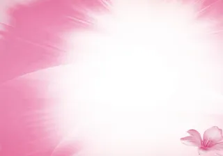 粉色背景图