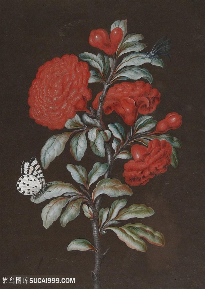 高清红色鲜花植物与蝴蝶油画图片