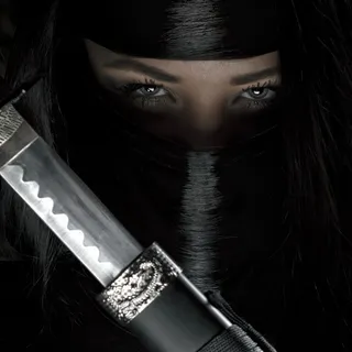 帅气的美女忍者 帅气的美女忍者