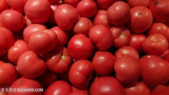 西红柿背景素材