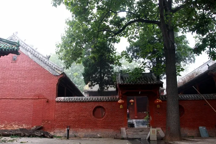 红墙边上的角门与参天大树