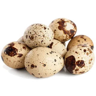鹌鹑蛋 (超市商品白底图免抠实物摄影png格式图片透明底002