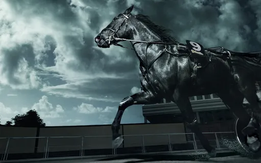 奔跑的黑马图片