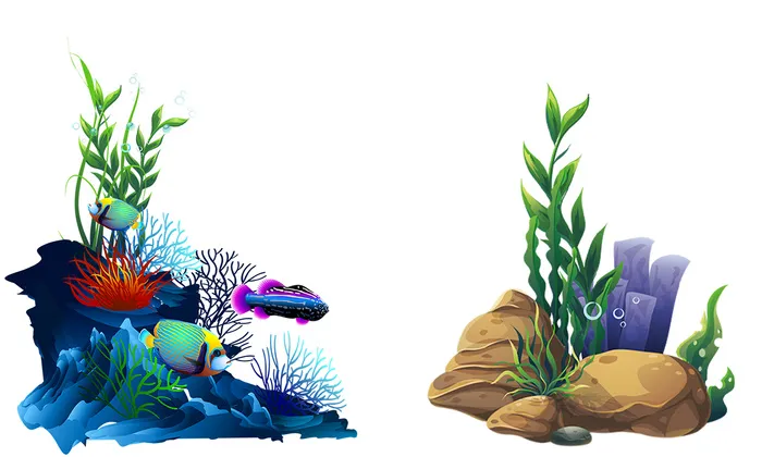 免扣海底植物图片psd模版下载
