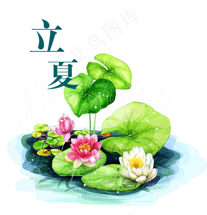 立夏节气免抠png 