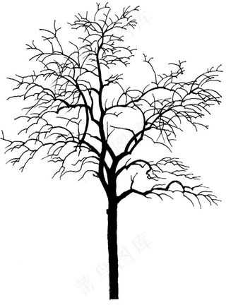 手绘树木矢量图片