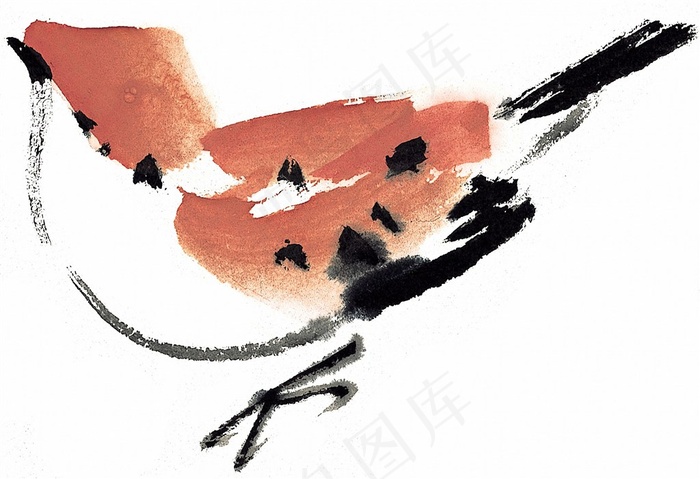 鸟禽大图图片素材