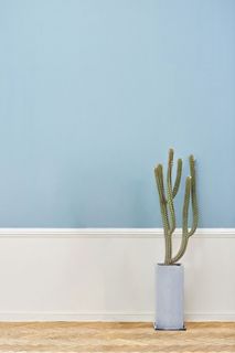 现代蓝色小树背景墙