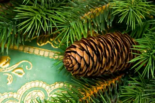 圣诞树装饰素材图片