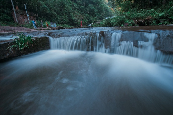 四川黄荆老林风景高清图片