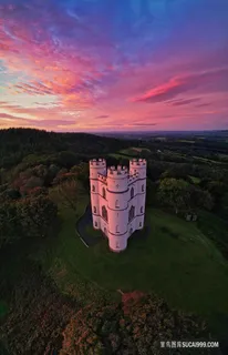 黄昏树林城堡图片