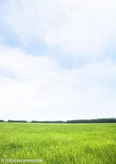草地天空-白云下的草地 草地天空-白云下的草地