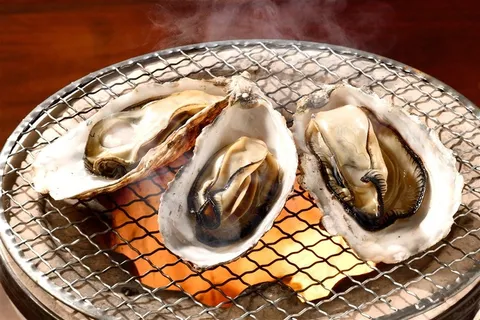 烧烤架上的生蚝高清图片