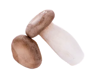 杏鲍菇 (5)超市商品白底图免抠实物摄影png格式图片透明底