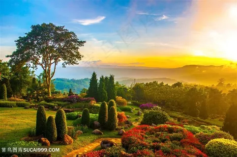 唯美公园花园景色高清图片