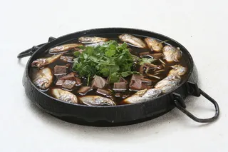 胶东 鱼羊鲜味锅38元(4)