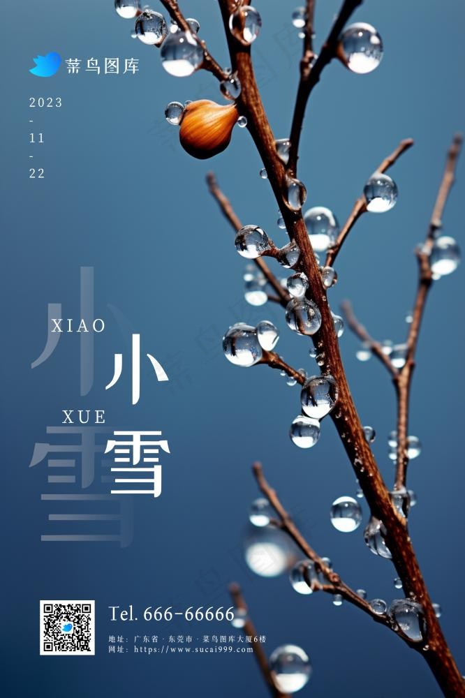 小雪简约冰冷蓝色节气海报(2362x3543)psd模版下载