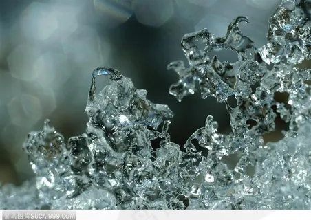 自然生物-透明的冰晶