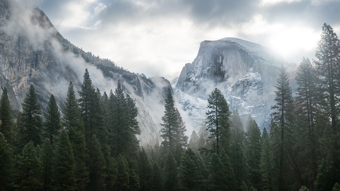 高清雪山雪景树林