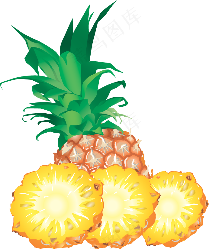 PNG 菠萝 