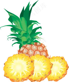 PNG 菠萝 