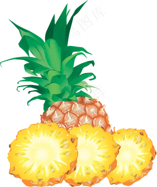 PNG 菠萝 