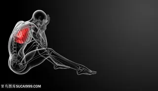 坐在地上手捧着脸的x光高清图