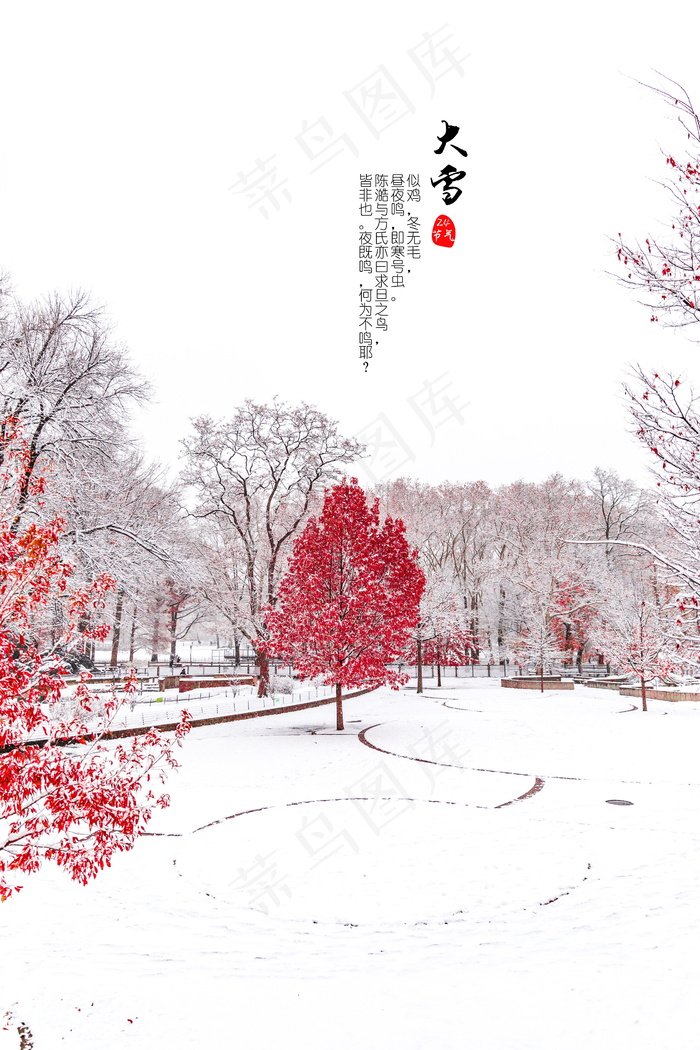 24节气大雪图片