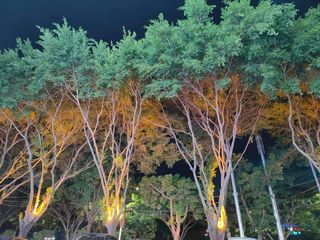 夜空中最美的风景