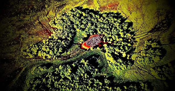 色彩浓烈虚实相宜 色彩浓烈虚实相宜