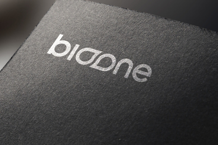 LOGO展示效果样机