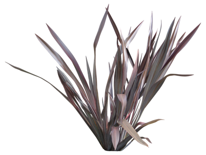 高清树木素材 免抠PSD植物素材 美术绘画园林贴图 树草灌木花草