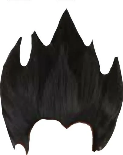 假发 PNG免抠(1024x1290)