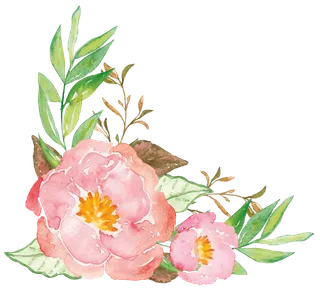 唯美森系手绘水彩花朵 免抠