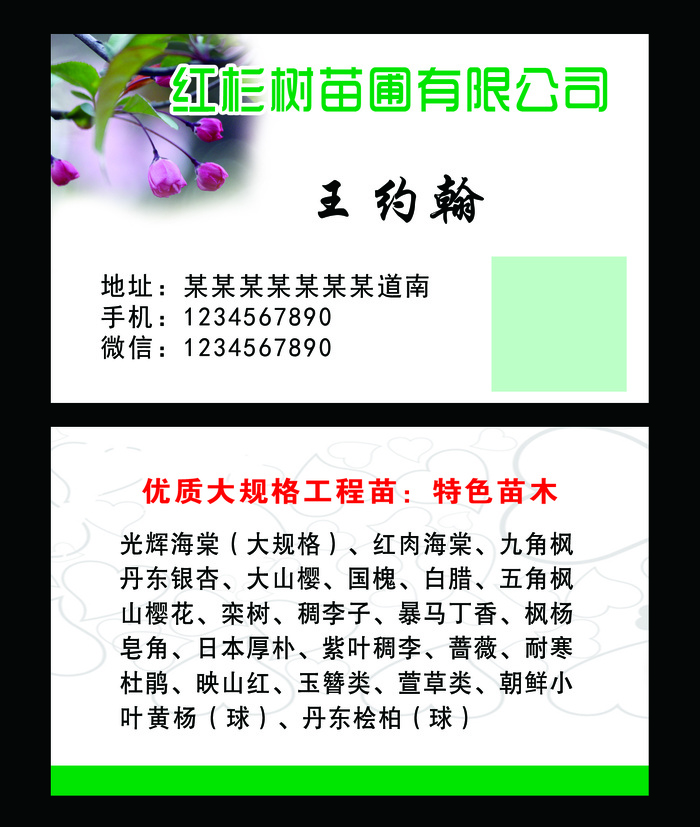 苗圃 苗木名片psd模版下载