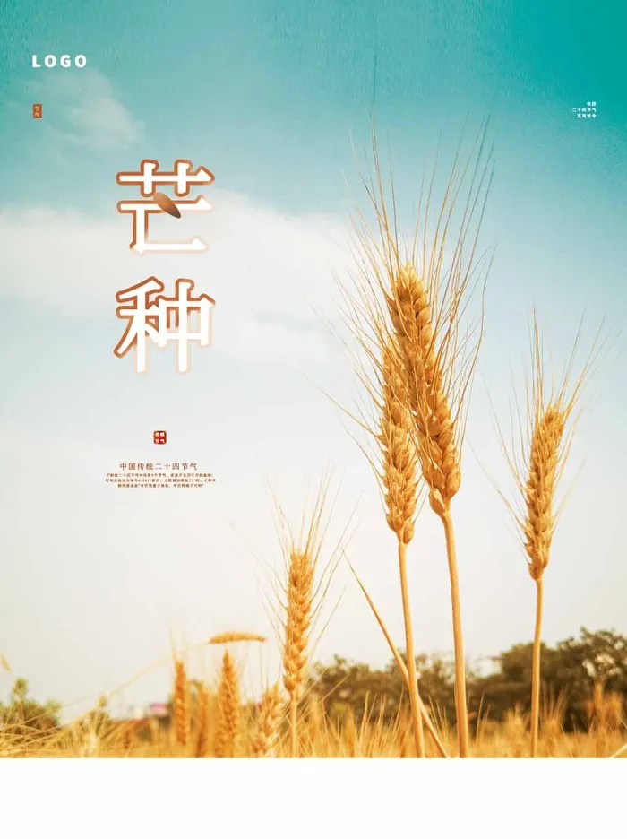 芒种 芒种宣传促销psd模版下载