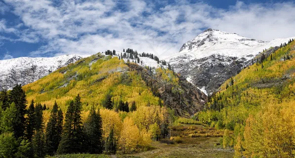 秋天秋日树落叶山坡高清背景 秋天秋日树落叶山坡高清背景