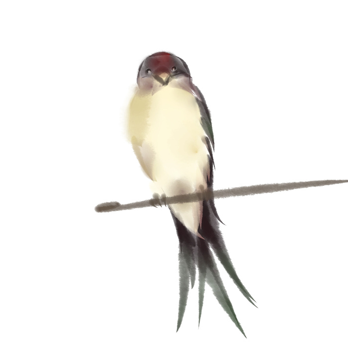 水彩手绘春季春天柳树柳条枝条小鸟小燕子元素PSD设计素材PNG图片