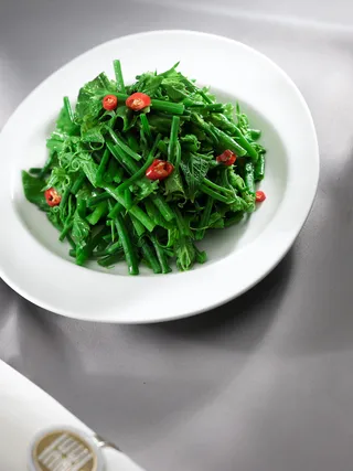 LCSC1457凉拌南瓜苗  28元份