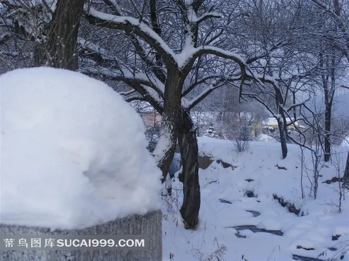 雪景摄影图片