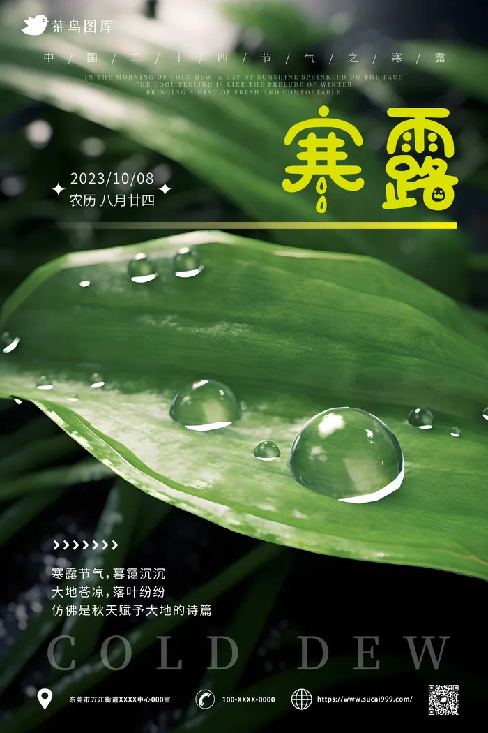 绿色 树叶 水滴 小清新 寒露节气海报ai矢量模版下载