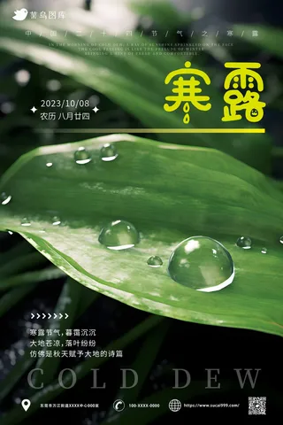 绿色 树叶 水滴 小清新 寒露节气海报