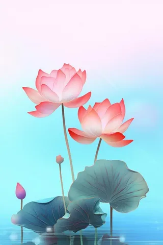 简约清新淡粉色荷花背景