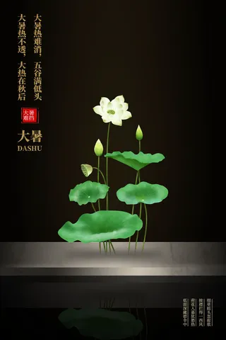 传统节日大暑海报