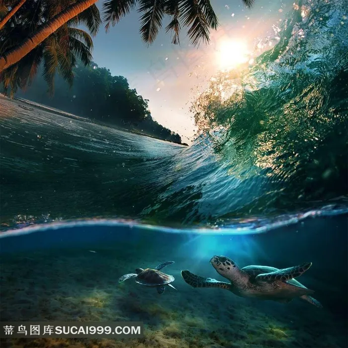 美丽的大海风景图片