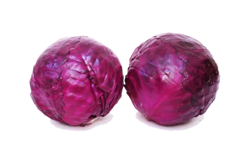 紫甘蓝 (3)超市商品白底图免抠实物摄影png格式图片透明底
