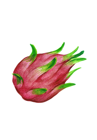 水果水彩画水果免扣素材