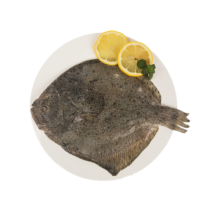 多宝鱼(1)海鲜超市商品红酒白底图免抠实物摄影png格式图片透明底