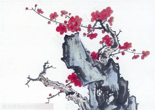 水墨画之冬梅与石头共舞
